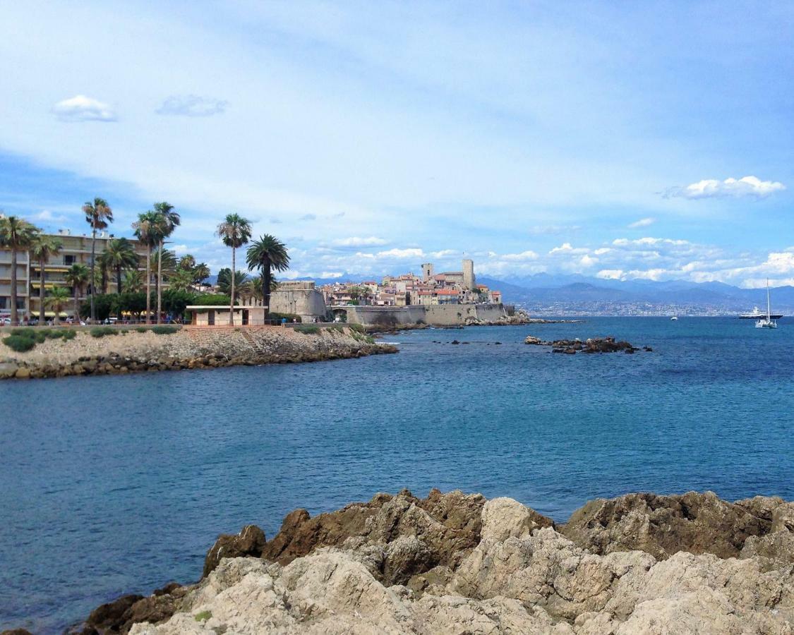 Roi Chevalier Antibes