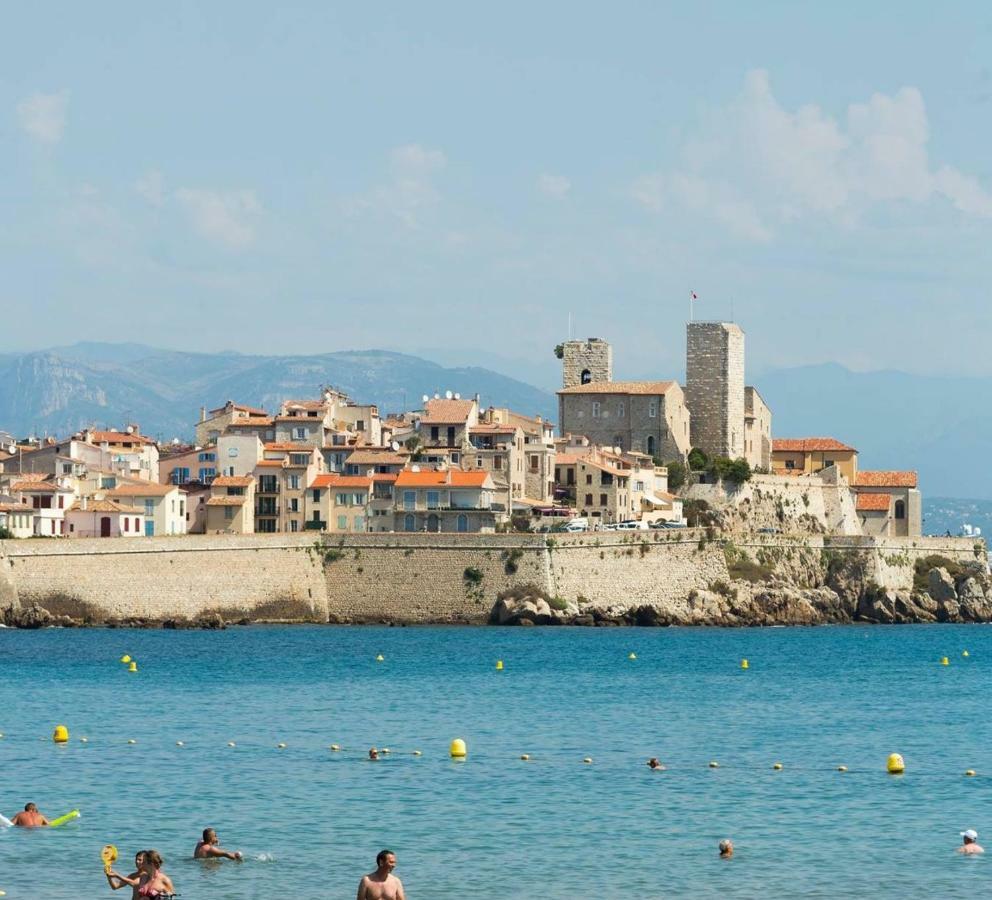 Roi Chevalier * Antibes